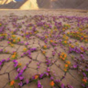 Meet your Posher, Ruben